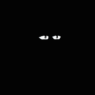CoolBears pre-reveal animation